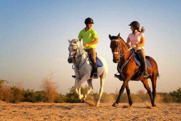 Cours d’équitation Cheval / Poney