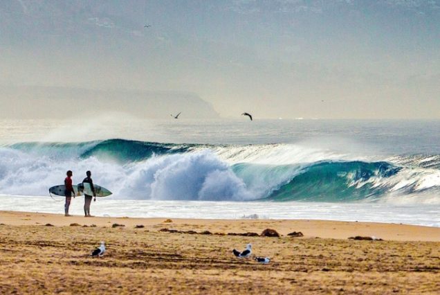 Cours de Surf avec des champions à Essaouira