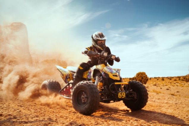 Quad & Chameaux & Hammam
